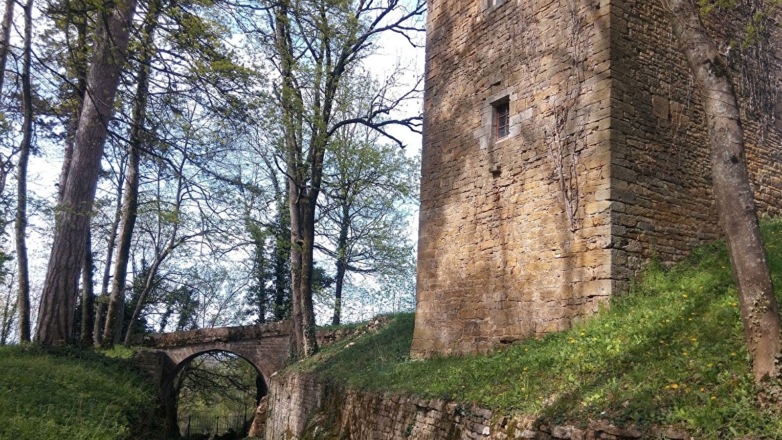 L’or jaune du Dieu de Coligny
