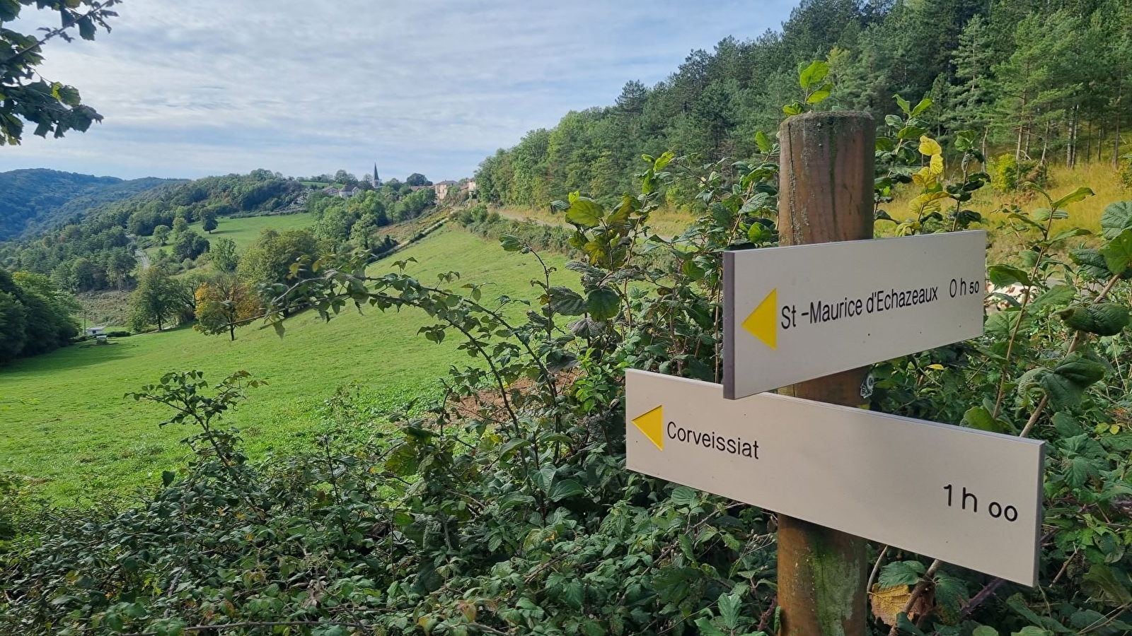 Plateau d'Arnans - Chartreuse de Sélignac et voie royale