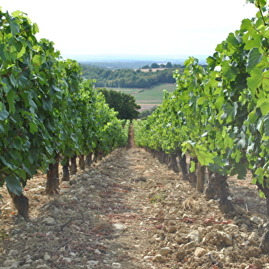 Les Hauts de Seyr