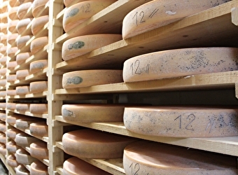 Du comté, du morbier, et autres gourmandises sans modération  - 