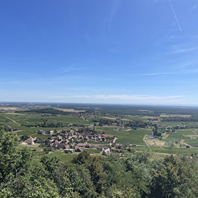 Entre vignes et bocages