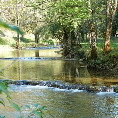 Les incontournables à Baume-les-Dames : Vieille ville, vallée du Doubs  et sources du Cusancin