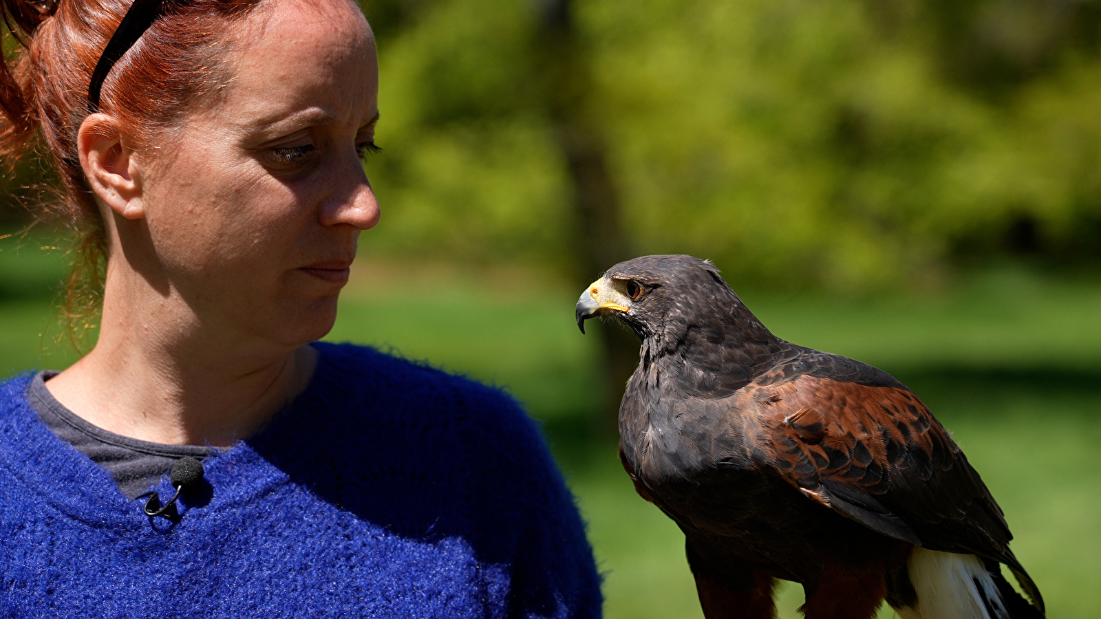 A la rencontre des rapaces avec Maud et Julien