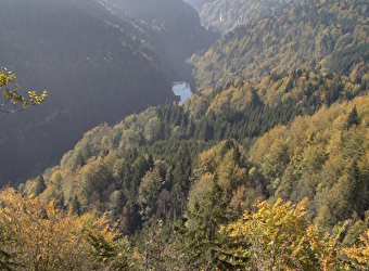 La fête de la Roche aux Chevaux -