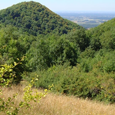 Château de Montfort, éperon barré celte ou site médiéval