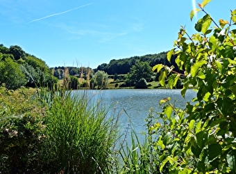 Circuit de Chassy  - SAUVIGNY-LES-BOIS