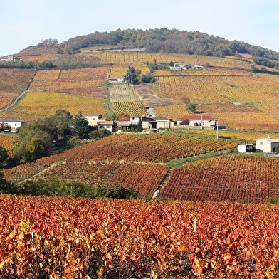 Circuit Les Cimes