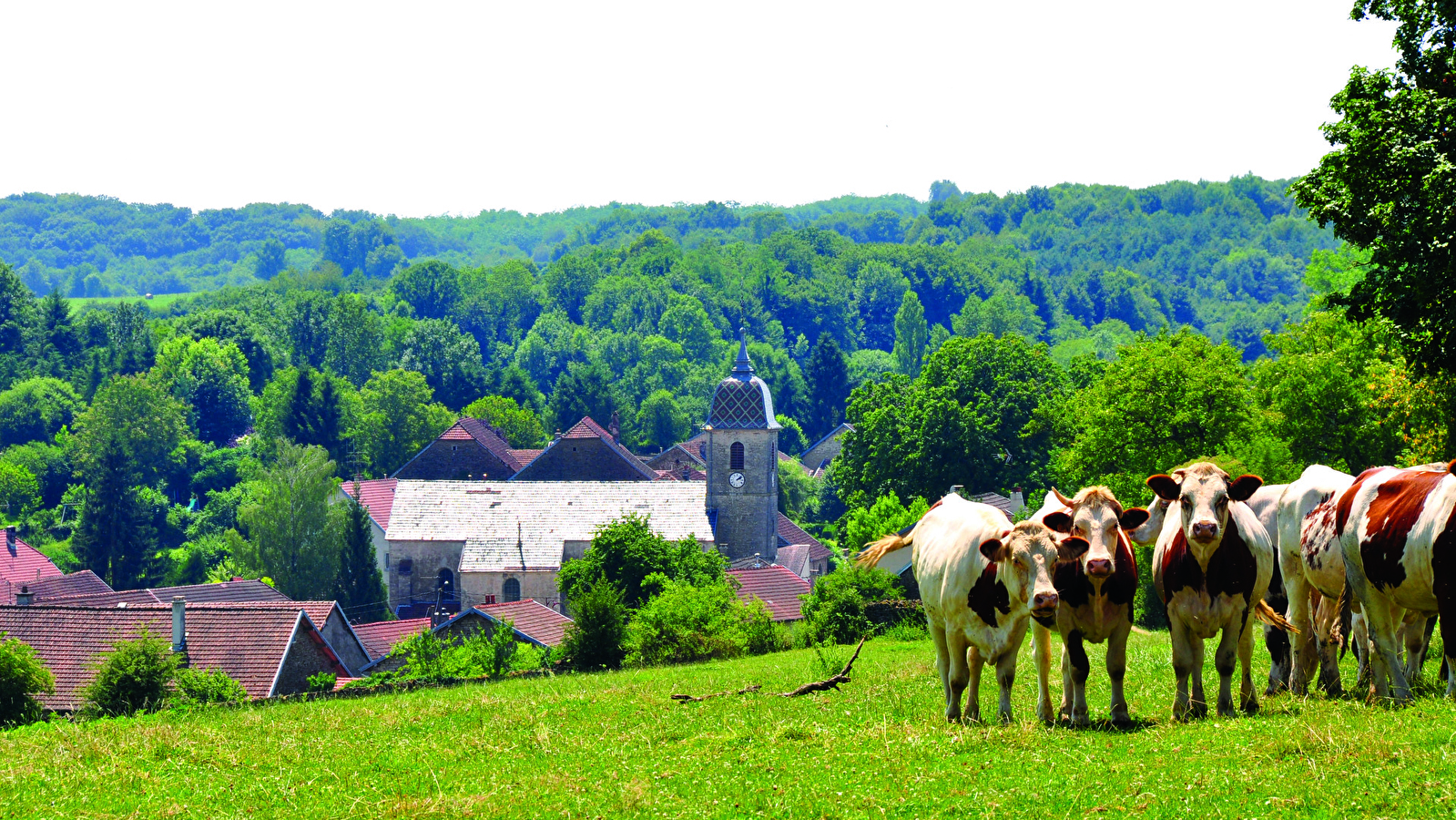 Le Mont du Chanois
