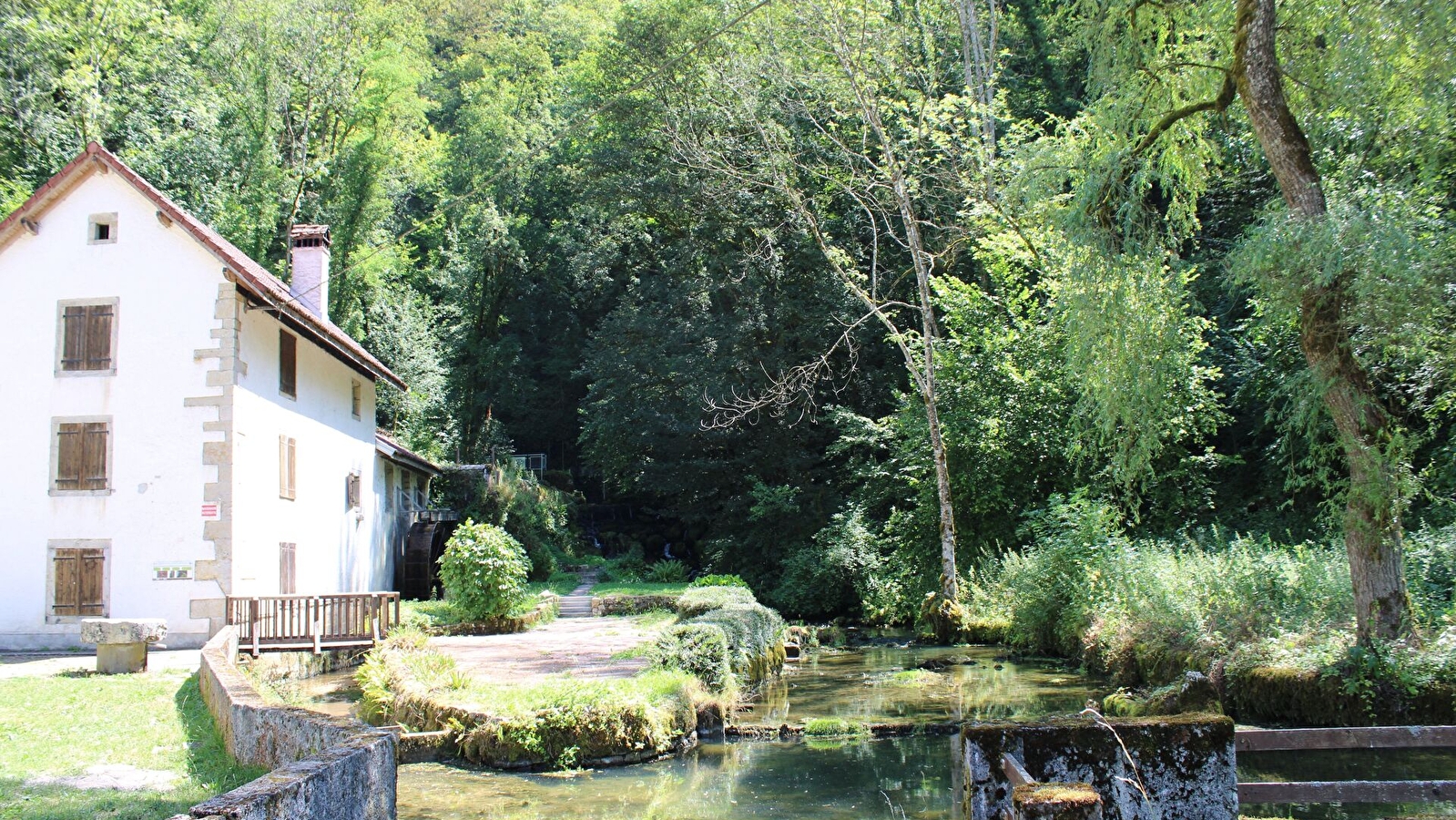 Balade sur le circuit  du moulin de la Doue version courte