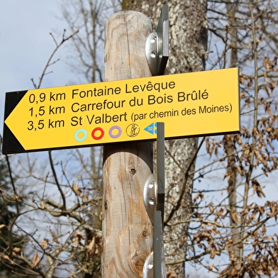 Circuit du Haut-Bois