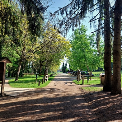 Circuits de randonnée pédestre de la forêt de Rothonne