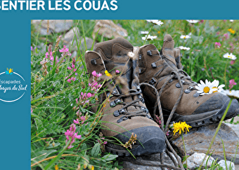 SENTIER LES COUAS - CHAMPAGNEY