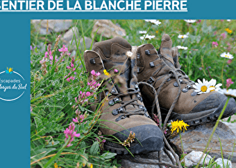 SENTIER DE LA BLANCHE PIERRE  - CHAMPAGNEY