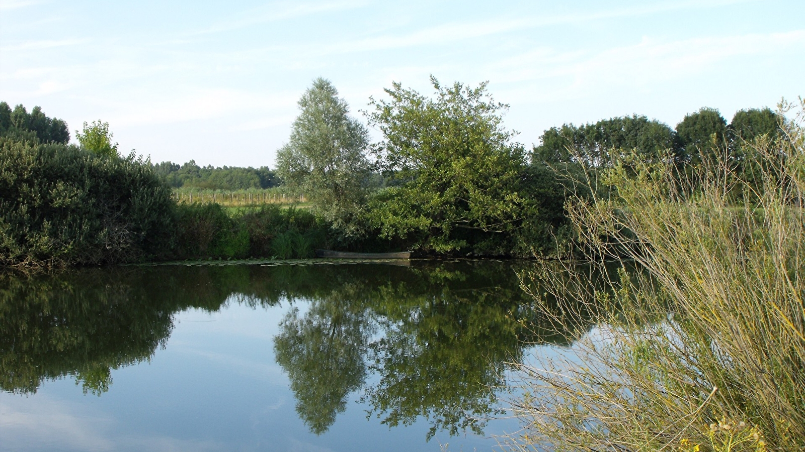Balade en bord de Seille