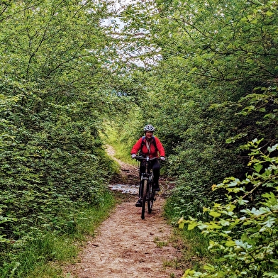 Parcours VTT 80 - vert - les Devins - Espace FFC Ain Forestière