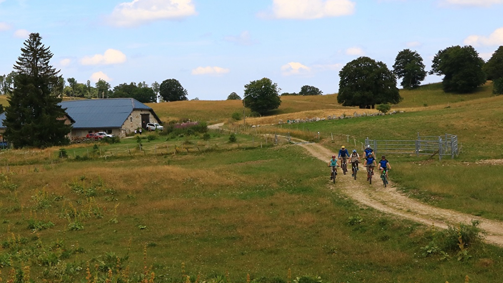 Parcours VTTAE 15 noir - Le grand tour du plateau de Retord - Espace FFC Ain Forestière