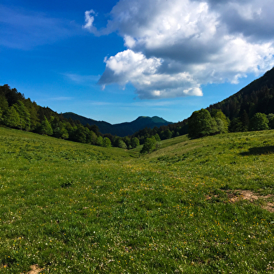 Parcours trail des Crêtes de Sur Lyand