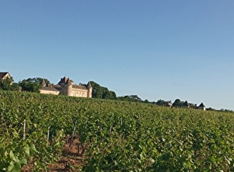 Petite balade à la fraîche - 