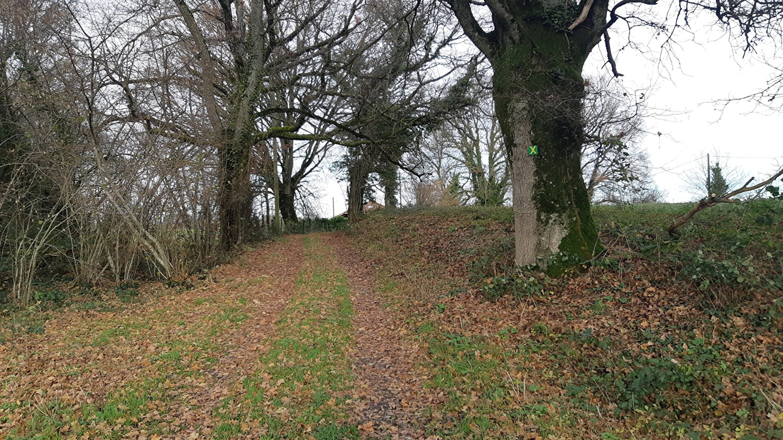 Sur les chemins de St Didier d'Aussiat (Version courte)