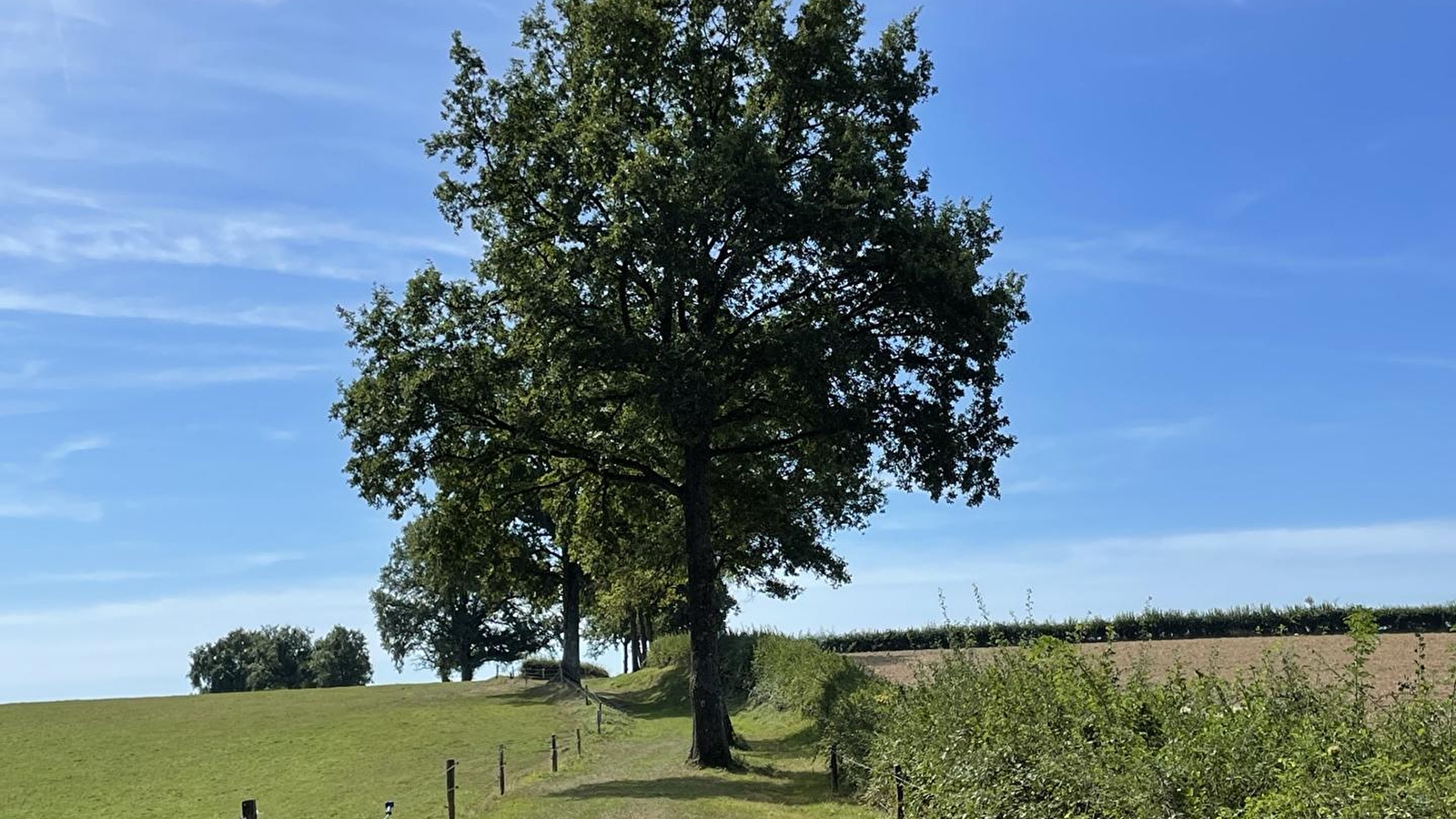 Aux Grands Garreaux