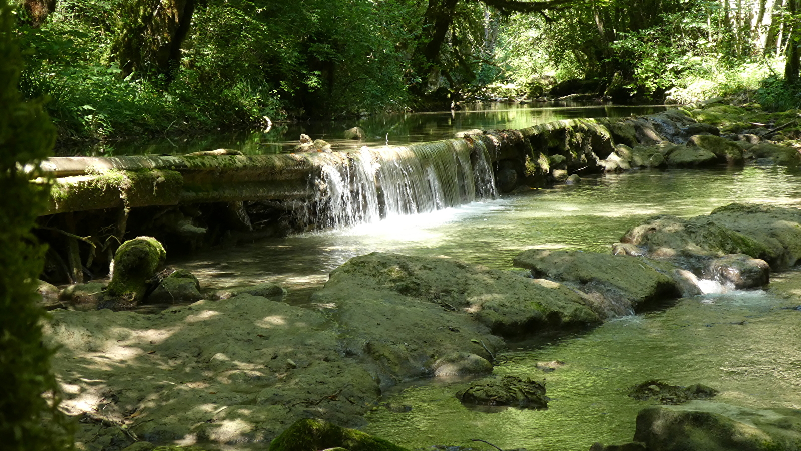 Sentier de balade : la Pernaz sauvage