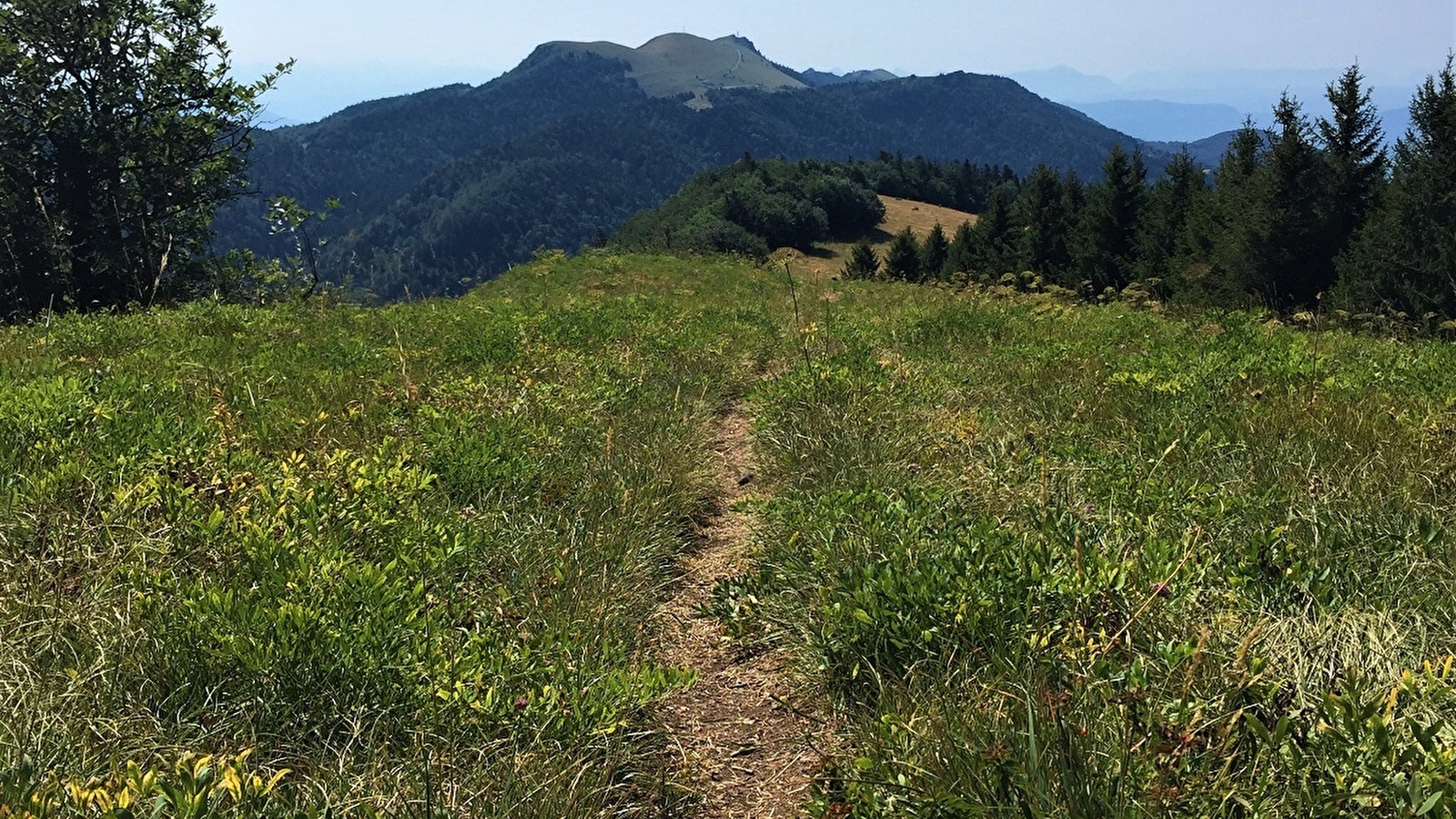 Circuit de randonnée pédestre : Les crêtes d'Hergues