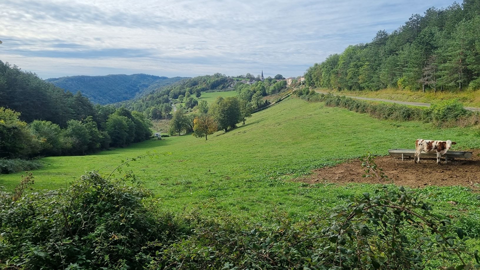 Tour du plateau d'Arnans - Crête des Trénoz