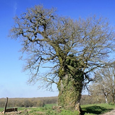 La Vallée des Ânes