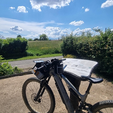 Circuit VTT-VTC n°26 (noir) - Tour de St Didier d'Aussiat
