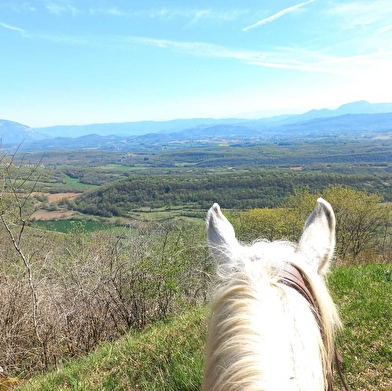 Circuit des caves et des fours du Bugey Sud