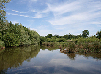 Le Marais de Montceaux-L'Etoile - MONTCEAUX-L'ETOILE