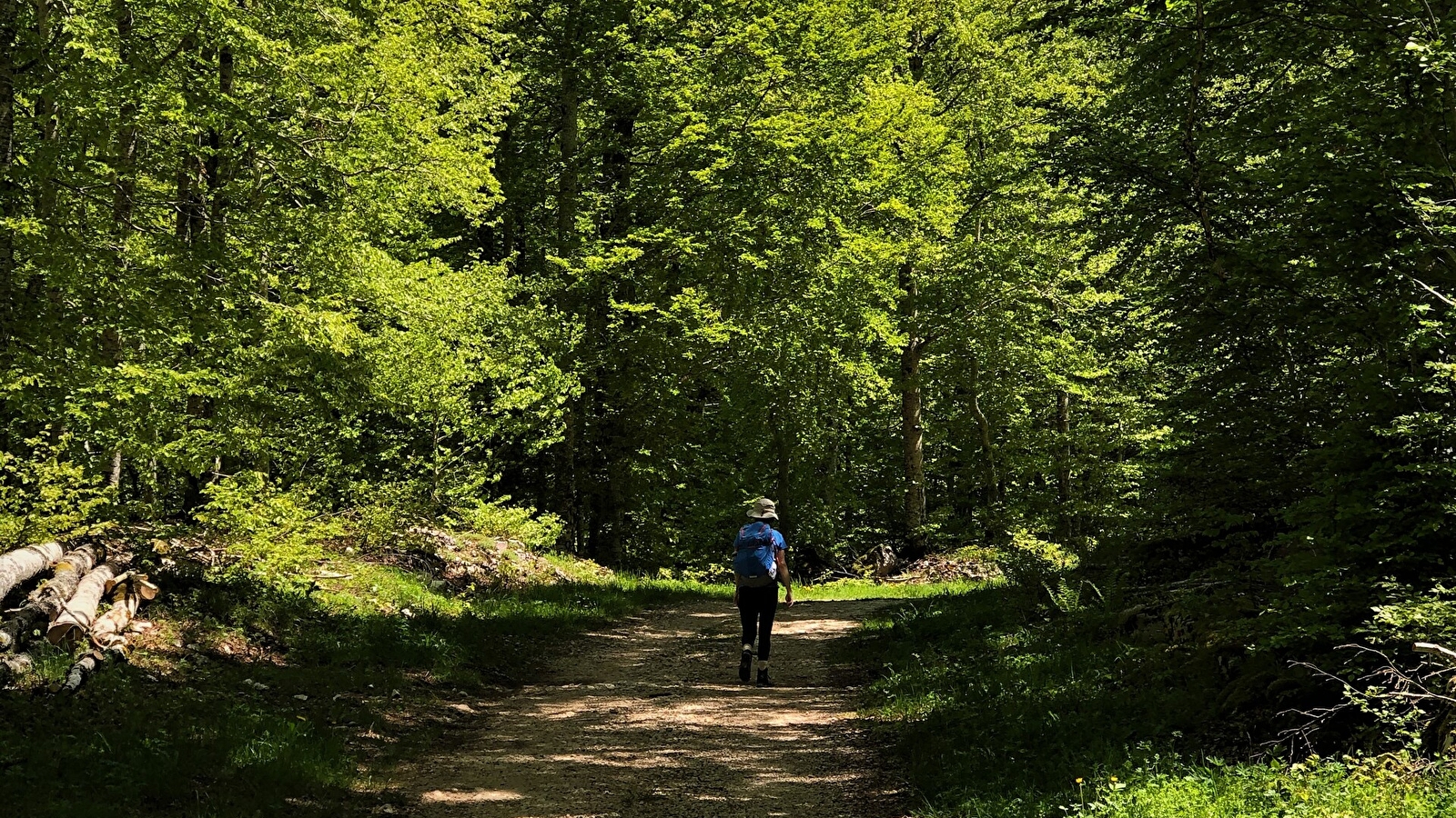 Circuit de randonnée le Tour de Retord