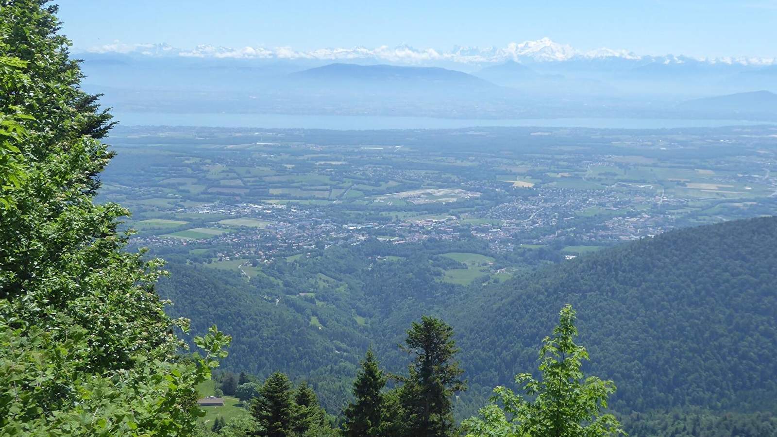 Randonnée pédestre : le Colomby de Gex depuis le Pailly
