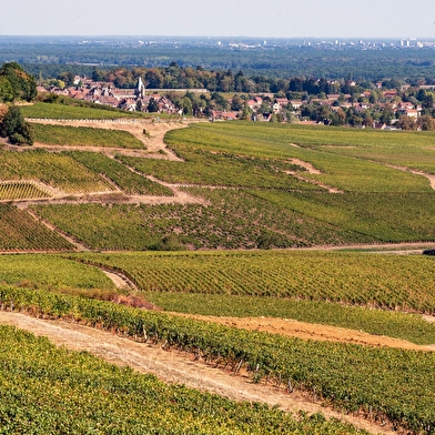 La Boucle de Bourgogne du Sud