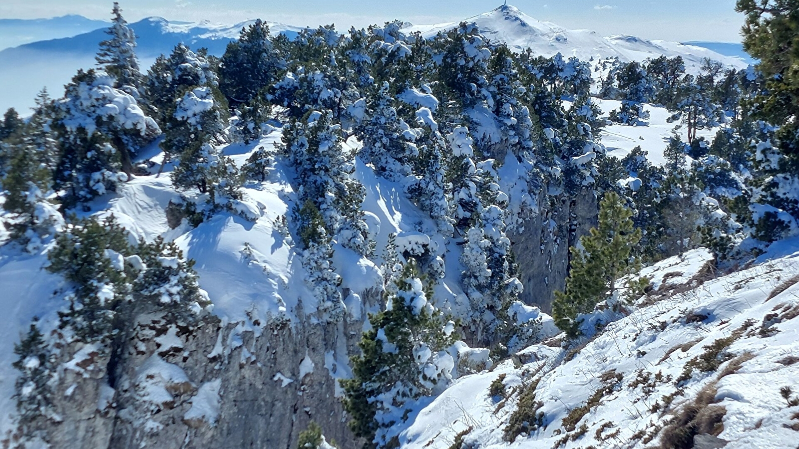 Sentier raquettes : de la Catheline au Crêt de la Neige