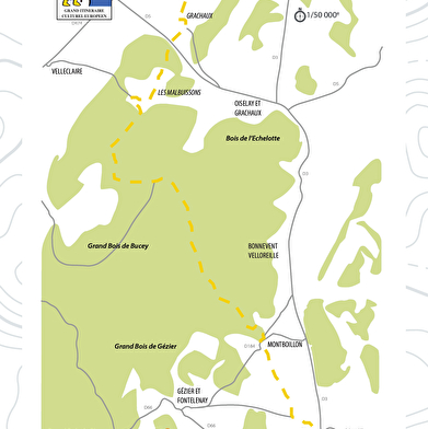 La Via Francigena