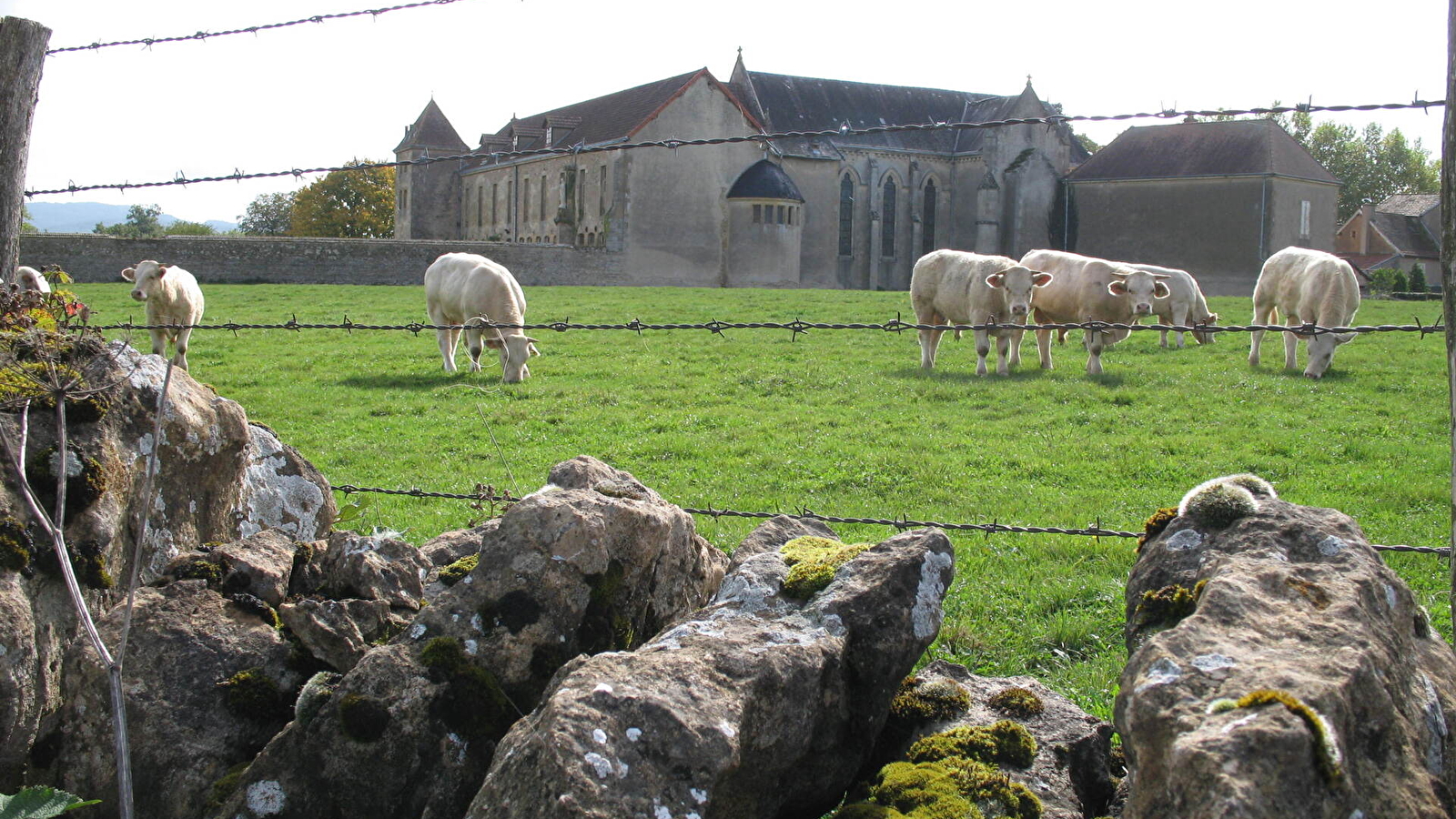 La voie Romaine