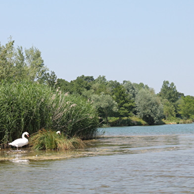 Le Tour du grand lac
