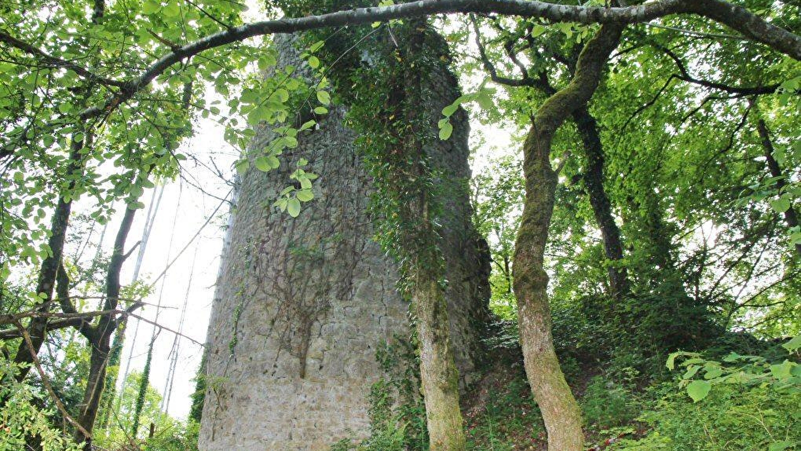 Eglise de St Maurice d'Echazeaux - Ruines de Mt-Didier