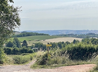 En haut de Saint-Cloud - 