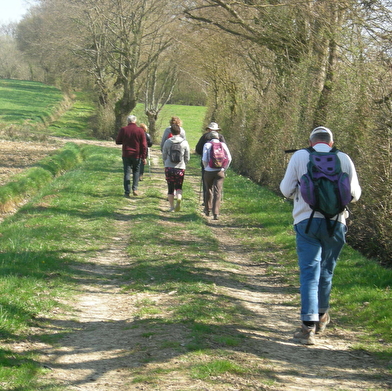 Circuit randonnée: Des chapelles et châteaux