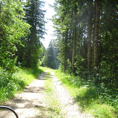 Circuit VTTAE - La Faucille Golf de la Valserine