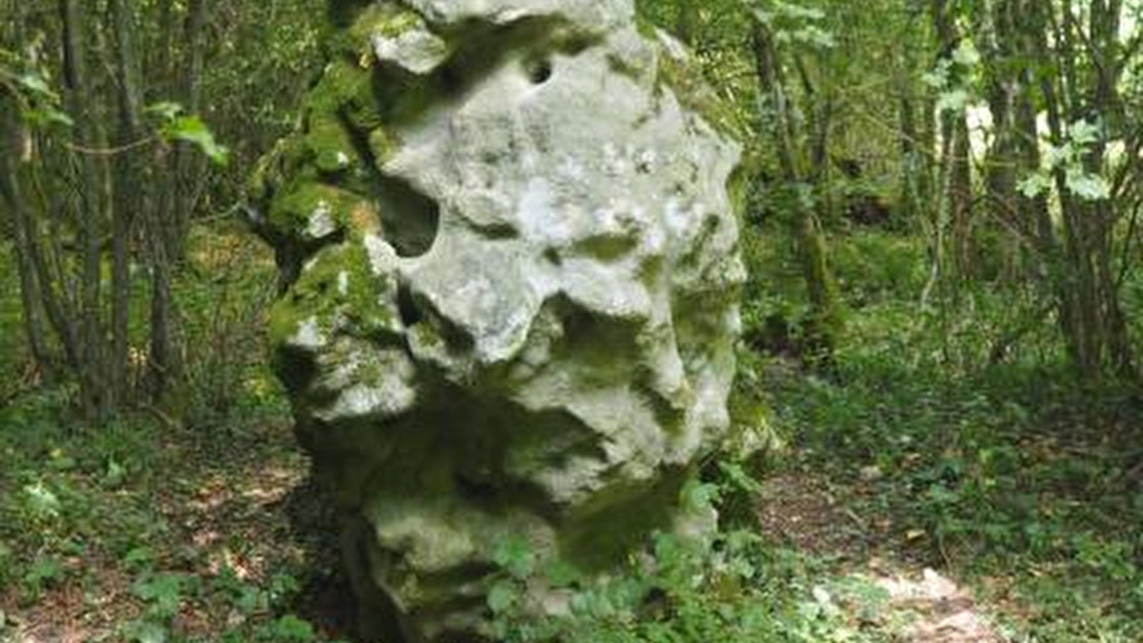 Découverte de la pierre à colon
