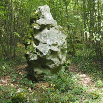 Louisette