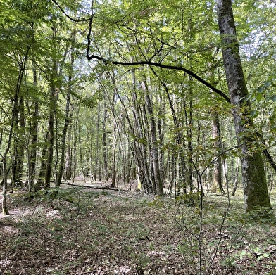 Aux Grands Garreaux