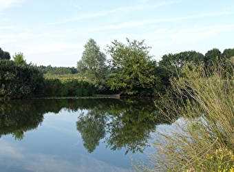 Balade en bord de Seille - 