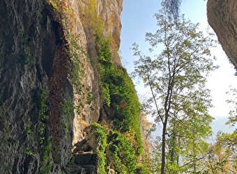 Aller à la grotte de la Roche -