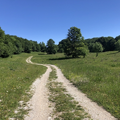 Parcours VTTAE 15 noir - Le grand tour du plateau de Retord - Espace FFC Ain Forestière