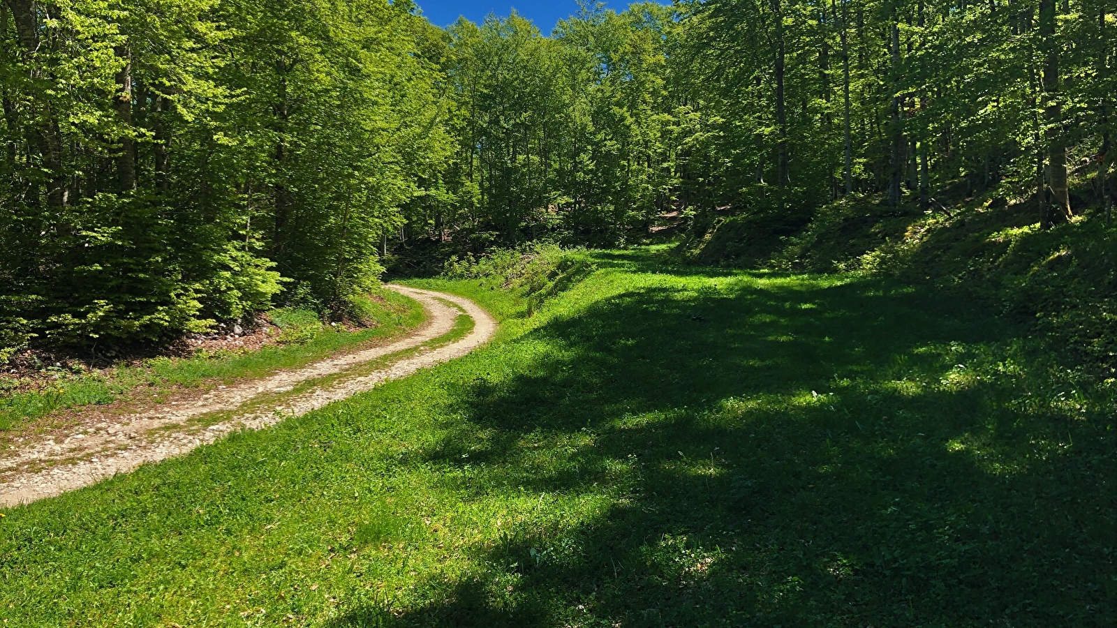 Parcours VTT 13 rouge - Le sud du Plateau de Retord - Espace FFC Ain Forestière