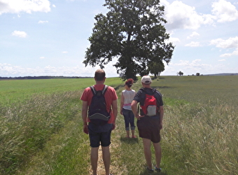 Promenade bucolique autour de Thianges - 